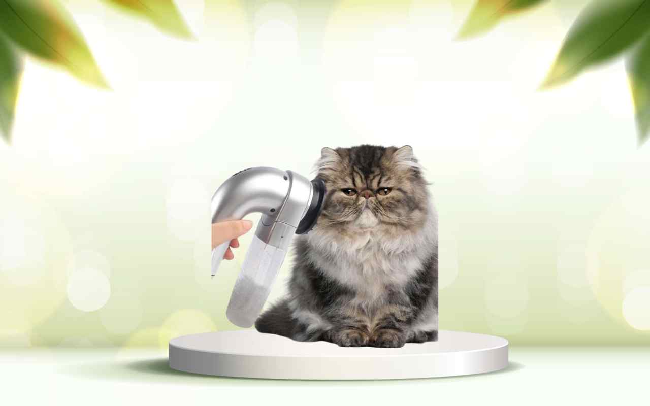 Dì addio ai peli degli animali in casa: prova ora SpazzolAmica e semplifica la pulizia